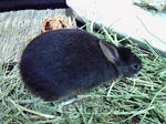 200910082139000.jpg