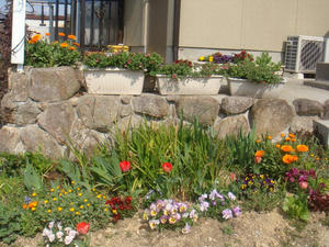 DSC00453.JPG