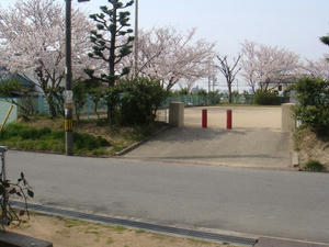 DSC00544.JPG