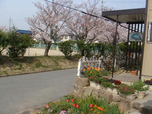 DSC00548.JPG