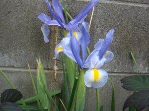DSC00563.JPG