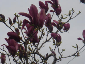 DSC00601.JPG