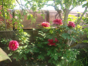 DSC00742.JPG