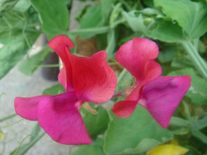 DSC00759.JPG