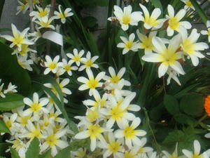 DSC00764.JPG