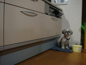 DSC00915.JPG
