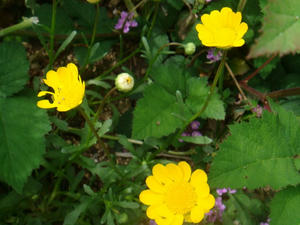 DSC00870.JPG