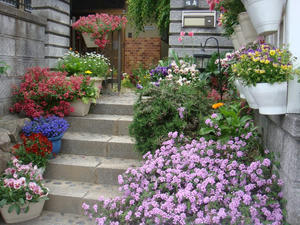 DSC00956.JPG