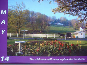 DSC01000.JPG