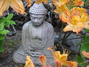 DSC01133.JPG