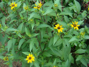 DSC01840.JPG