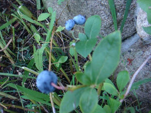 DSC01849.JPG