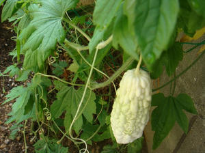 DSC01911.JPG