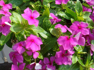 DSC01920.JPG