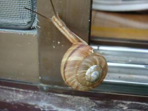 DSC02157.JPG