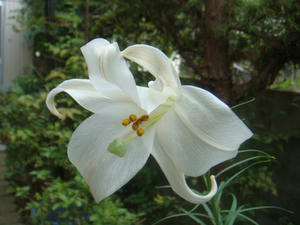DSC02436.JPG