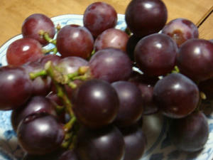 DSC02474.JPG