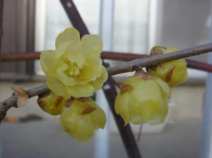 DSC03376.JPG