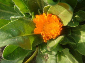 DSC03434.JPG