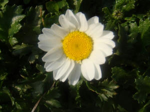 DSC03435.JPG