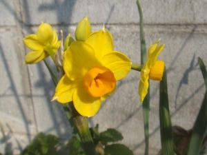 DSC03452.JPG
