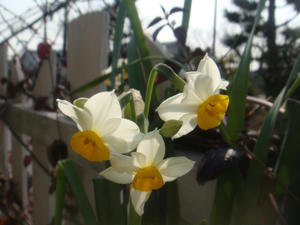 DSC03456.JPG