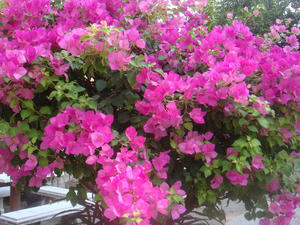 DSC03598.JPG