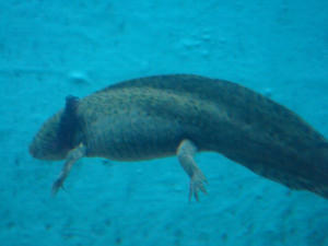 DSC03874.JPG