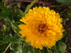 DSC04093.JPG