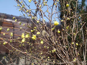 DSC04097.JPG