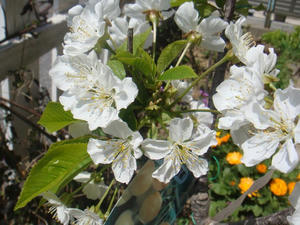 DSC04228.JPG