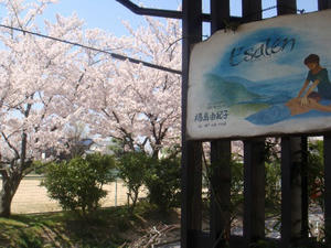 DSC04230.JPG