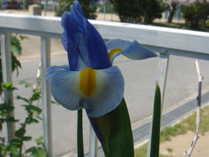 DSC04245.JPG