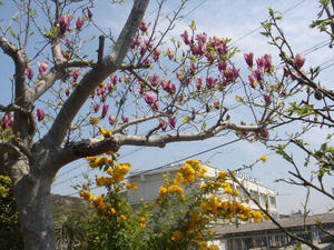 DSC04264.JPG