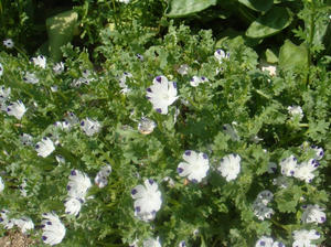 DSC04303.JPG