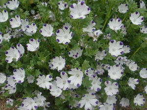 DSC04338.JPG