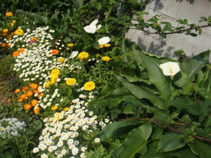 DSC04363.JPG