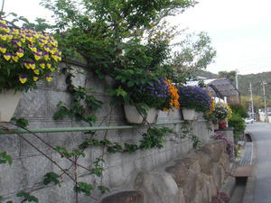 DSC04364.JPG