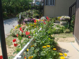 DSC04375.JPG