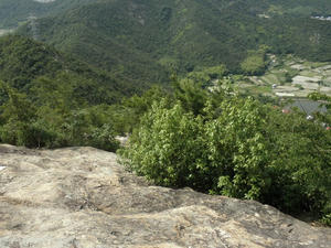 P6150020.JPG