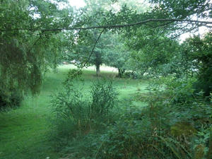P7270505.JPG