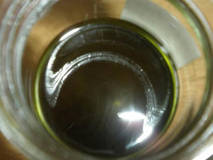P4010006.jpg