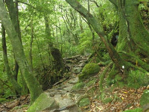 P4230055.jpg