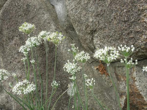 P9260038.jpg