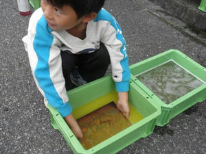 PB130005.jpg