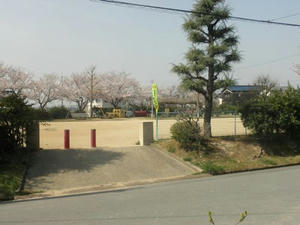 P4100014.jpg