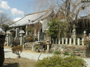 P3250026.jpg