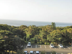 PB060117.jpg
