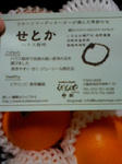 a70105fc.jpg