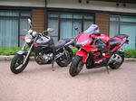 zeel_954rr.JPG